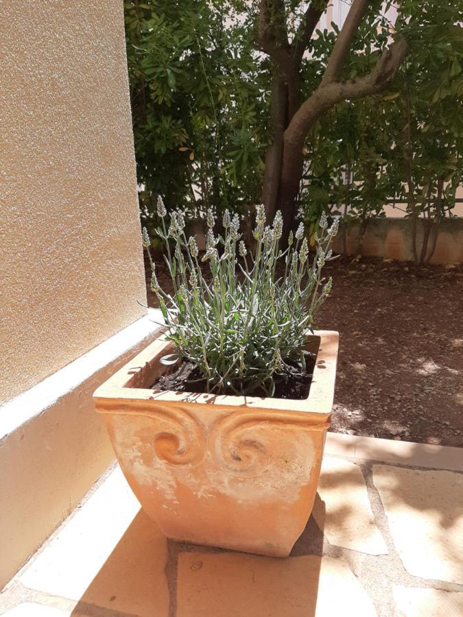 Kuca Za Odmor Lavanda Poljica  Exteriér fotografie